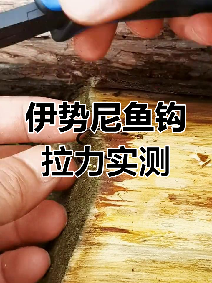 真假钨钢伊势尼鱼钩拉力对比测试