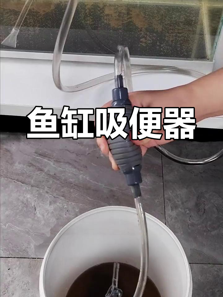 鱼缸底部便便清理神器,轻松吸走不再烦恼