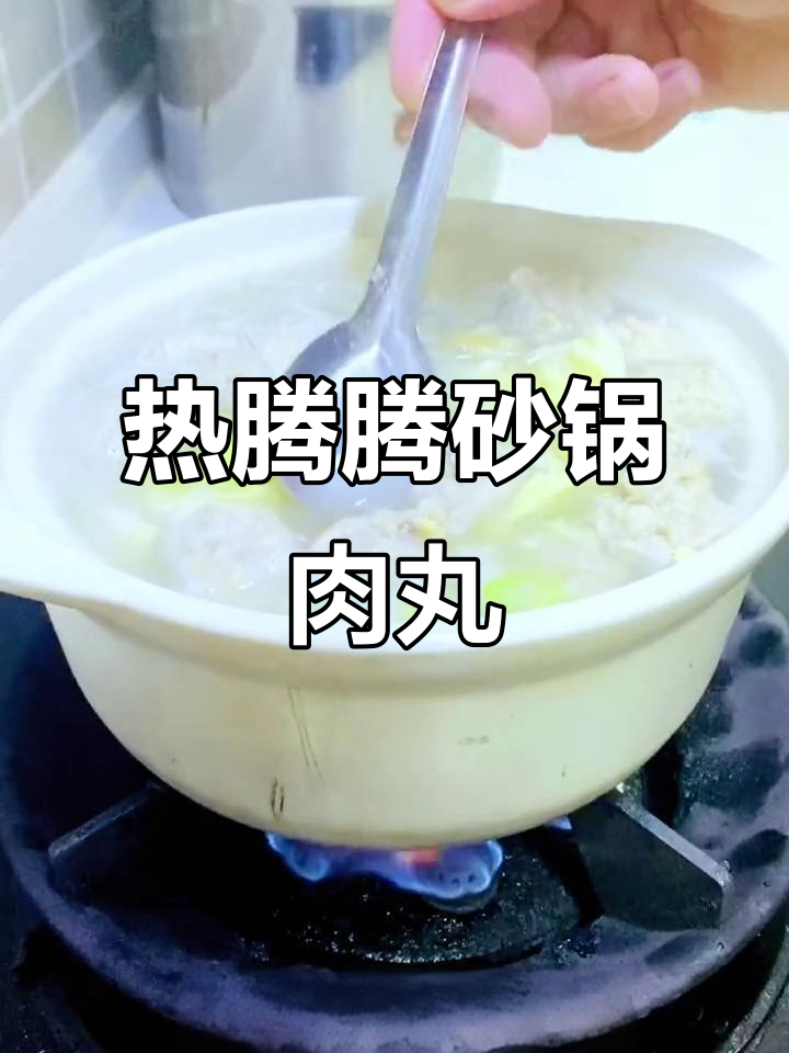 砂锅猪肉丸子,鲜香四溢,Q弹有嚼劲