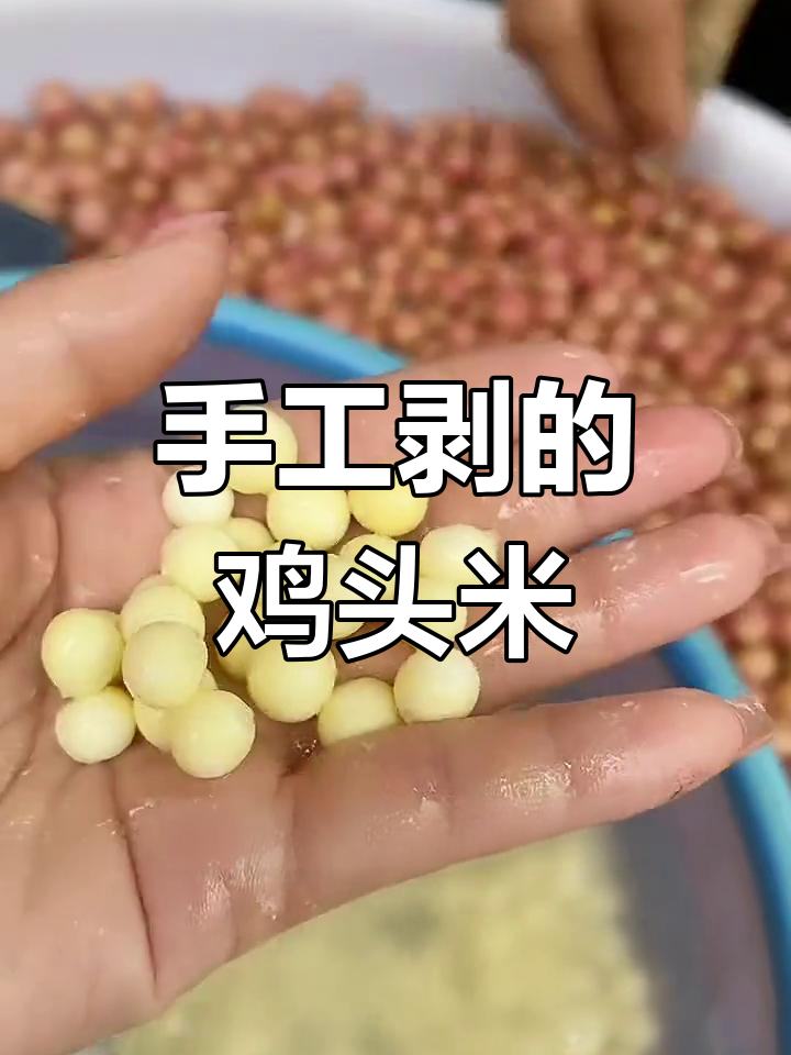苏州鸡头米:手工剥出极致软糯,每一粒都值得珍惜