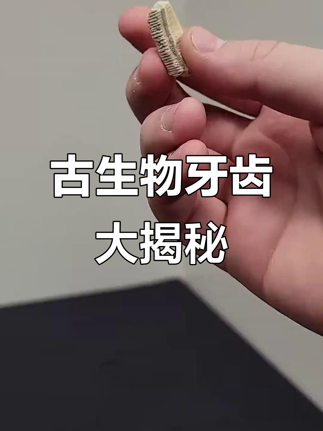 探索古生物牙齿,从1级到10级的惊人进化!
