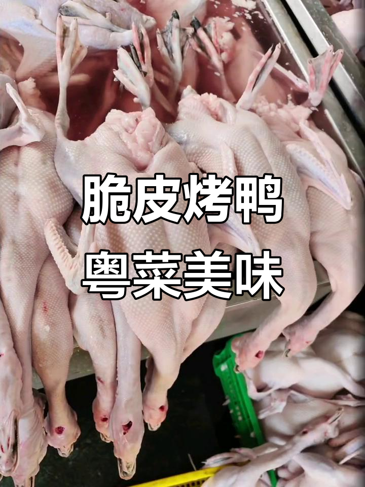 脆皮烤鸭与粤菜美食的完美碰撞,现场实拍让人垂涎三尺
