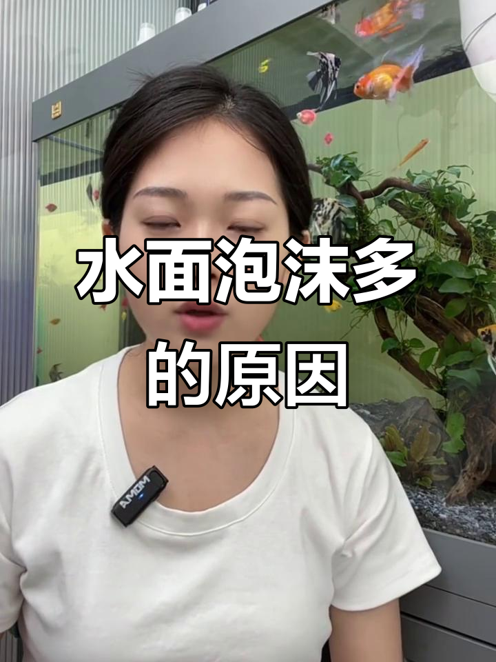 鱼缸水面泡泡多？这些原因你得知道