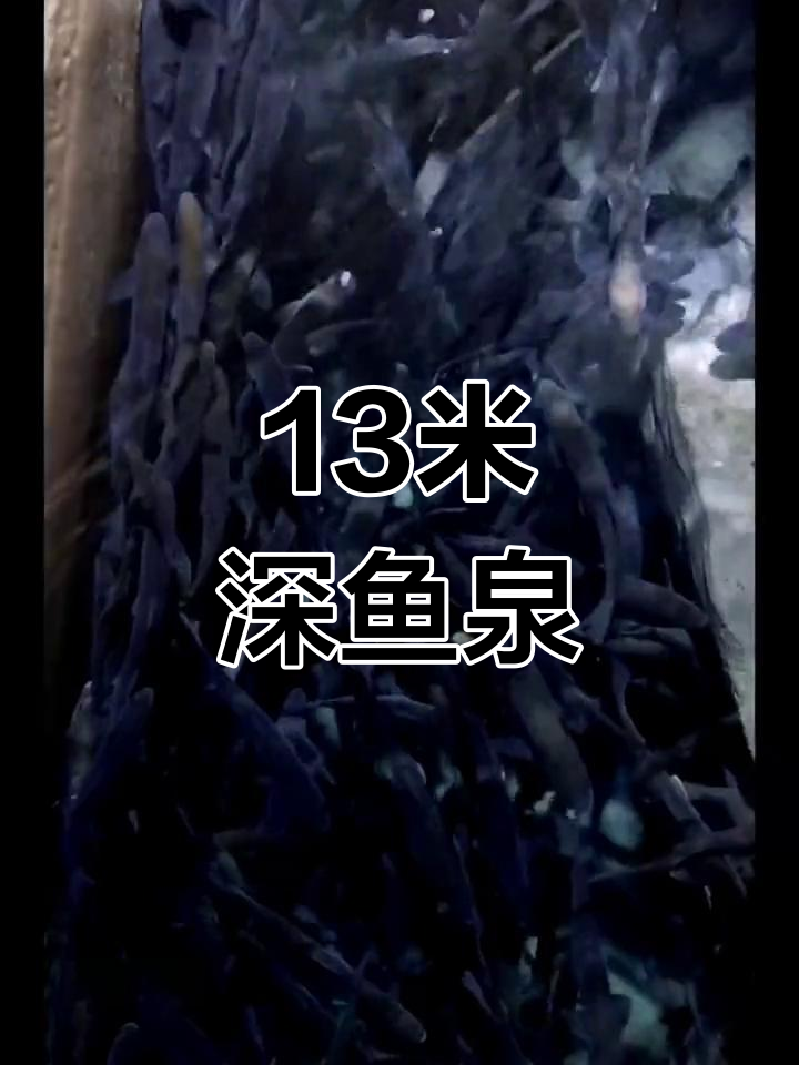 重庆巫溪的神秘鱼泉