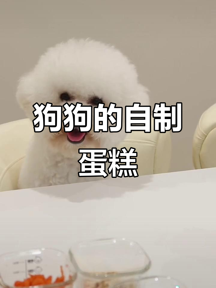 自制狗狗生日蛋糕,简单又美味!
