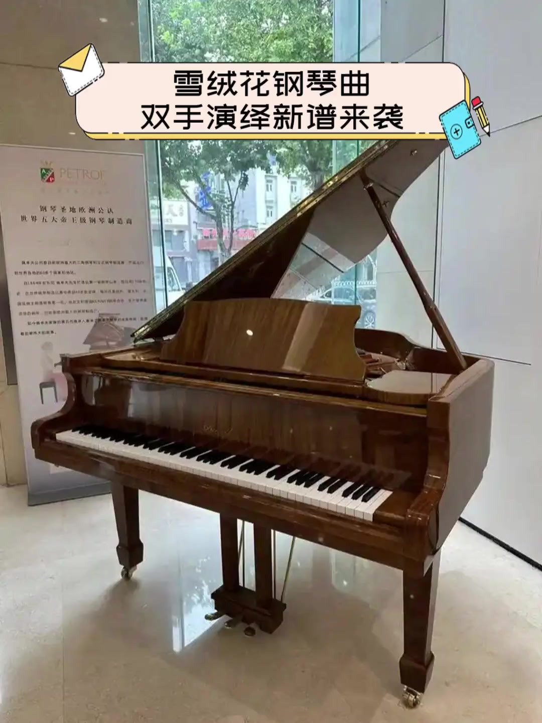 雪绒花钢琴曲,双手演绎新谱来袭
