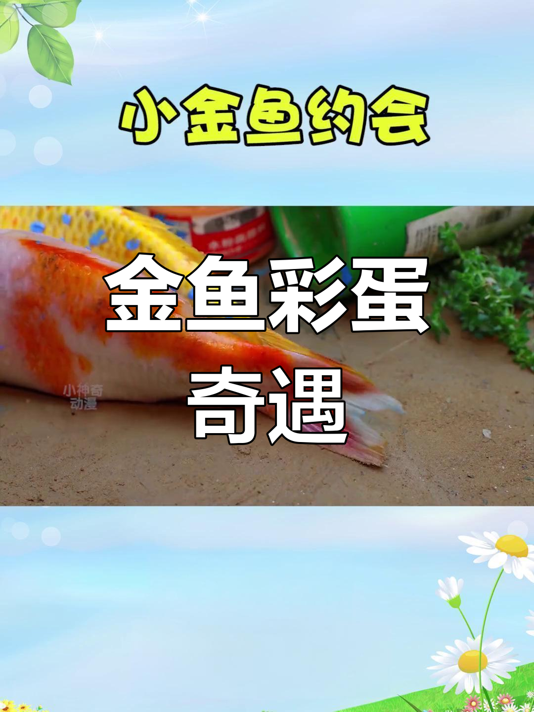 大金鱼与小红的约会冒险