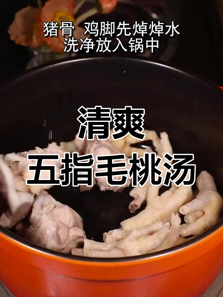 五指毛桃雪梨汤,清润滋补,椰香四溢