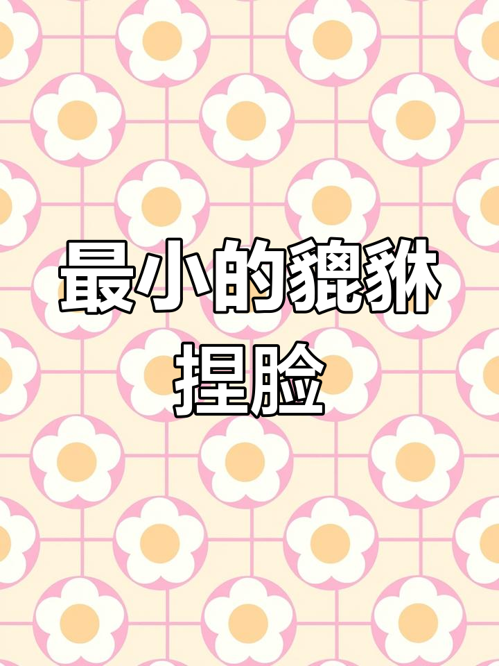 妄想山海貔貅捏脸数据大揭秘,超小尺寸来袭!
