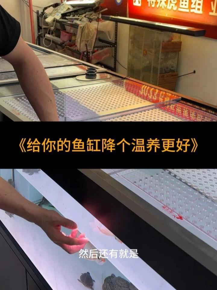 缸盖实用王！降3℃+防撞+增氧，PC板十年不坏 153/180/198尺寸精准开槽！物理降