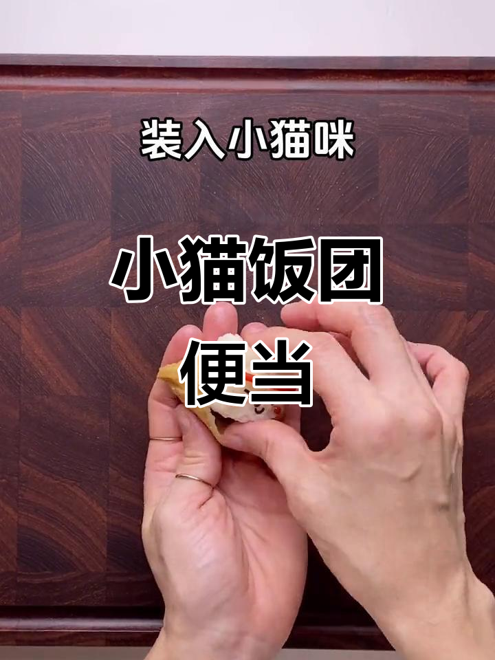 中国队加油！小猫饭团萌动便当，带你一起走