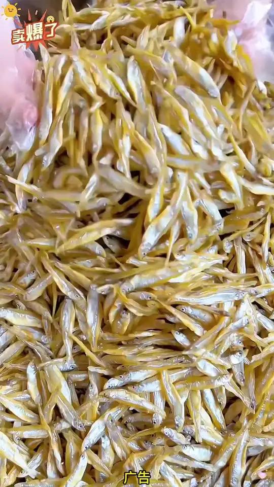 小鱼干炒辣椒,香辣爽口!平时大鱼大肉吃腻了,来上一盘也不错,挺下饭的,价格也便宜,喜欢吃的