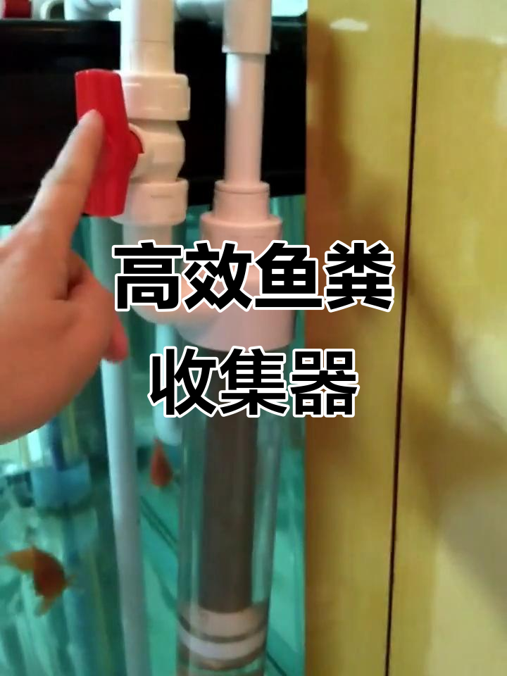 鱼缸粪便轻松清理,挂式收集器让维护更简单
