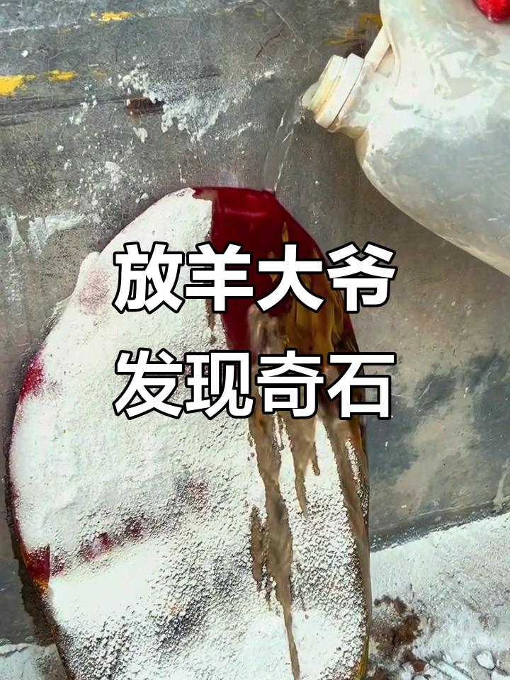 老大爷放羊捡到神秘石头，竟然能喝水？是鸡血石吗？