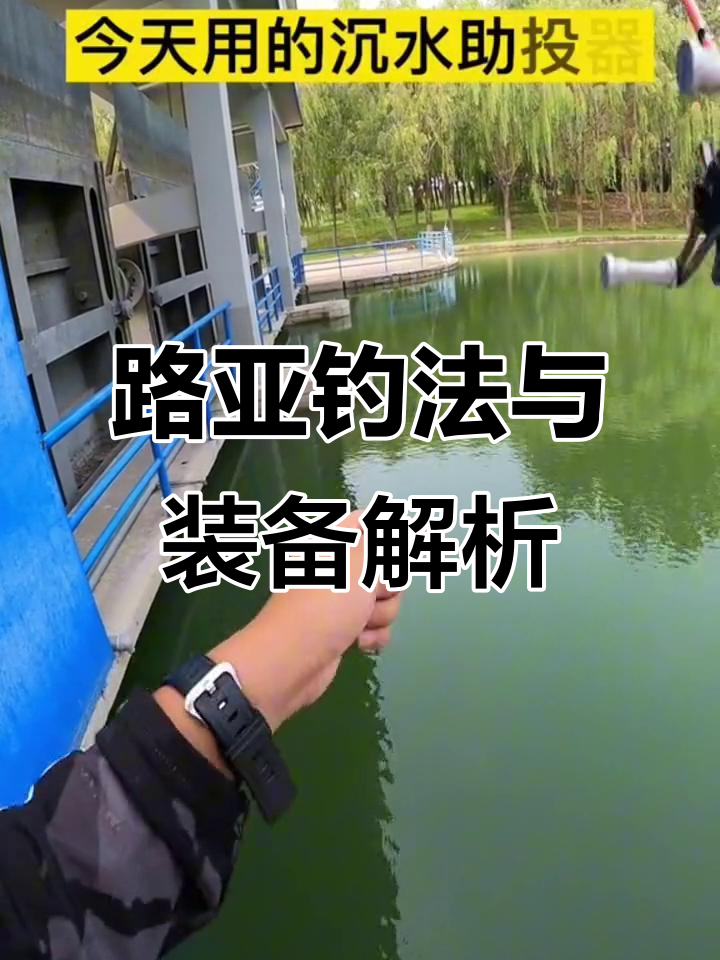微物路亚技巧大揭秘,如何用冰丝虾假饵捕捉青梢