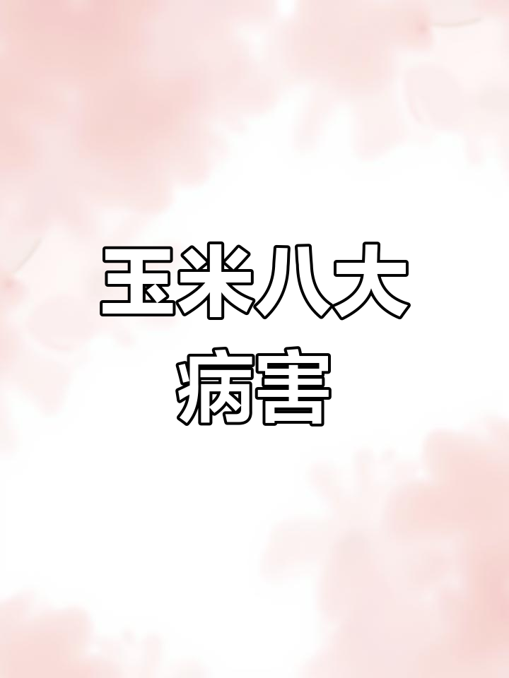 玉米常见8大病害,防治方法全解析