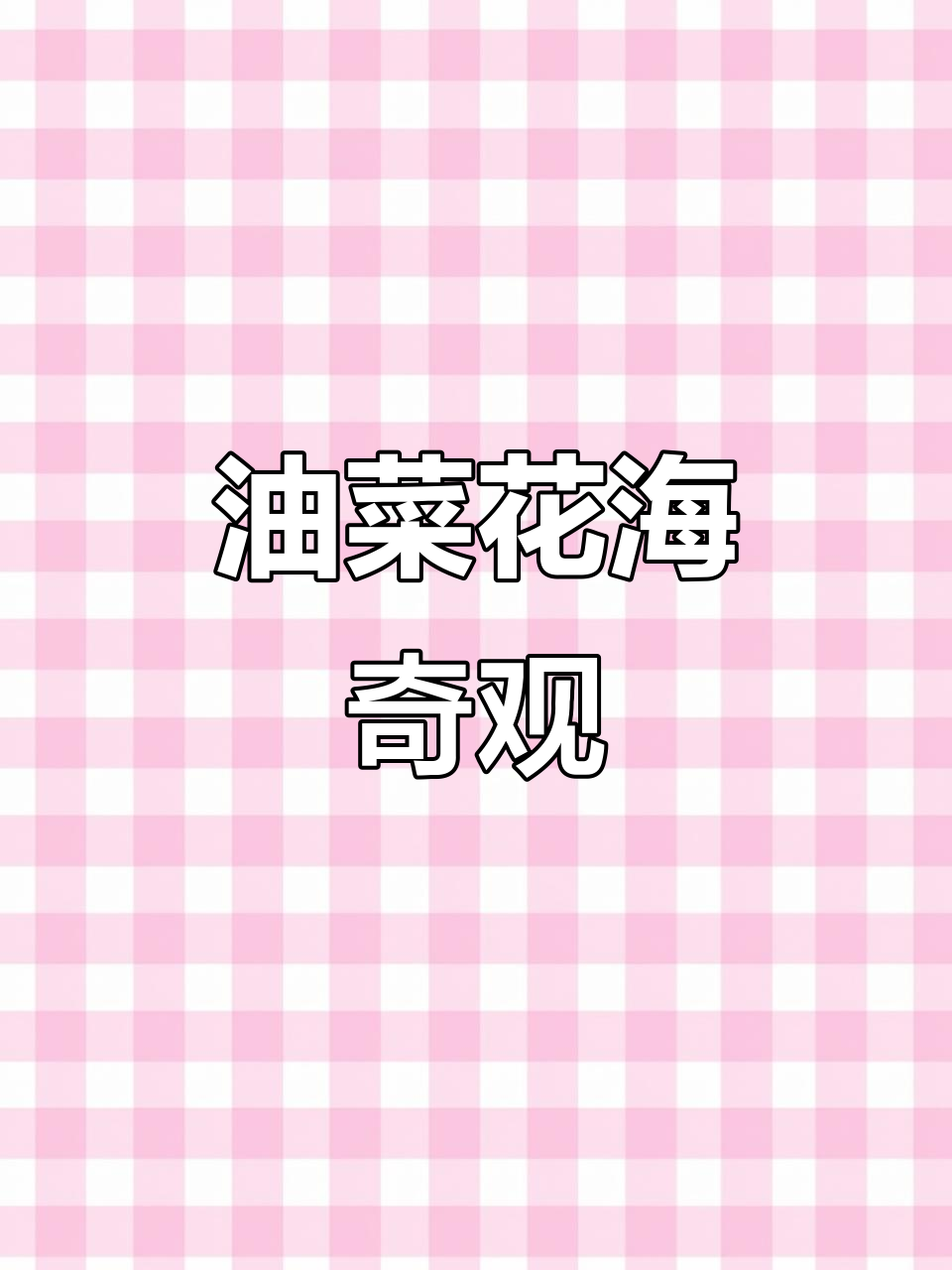 高原油菜花海,雪山草原交织,如梦似幻