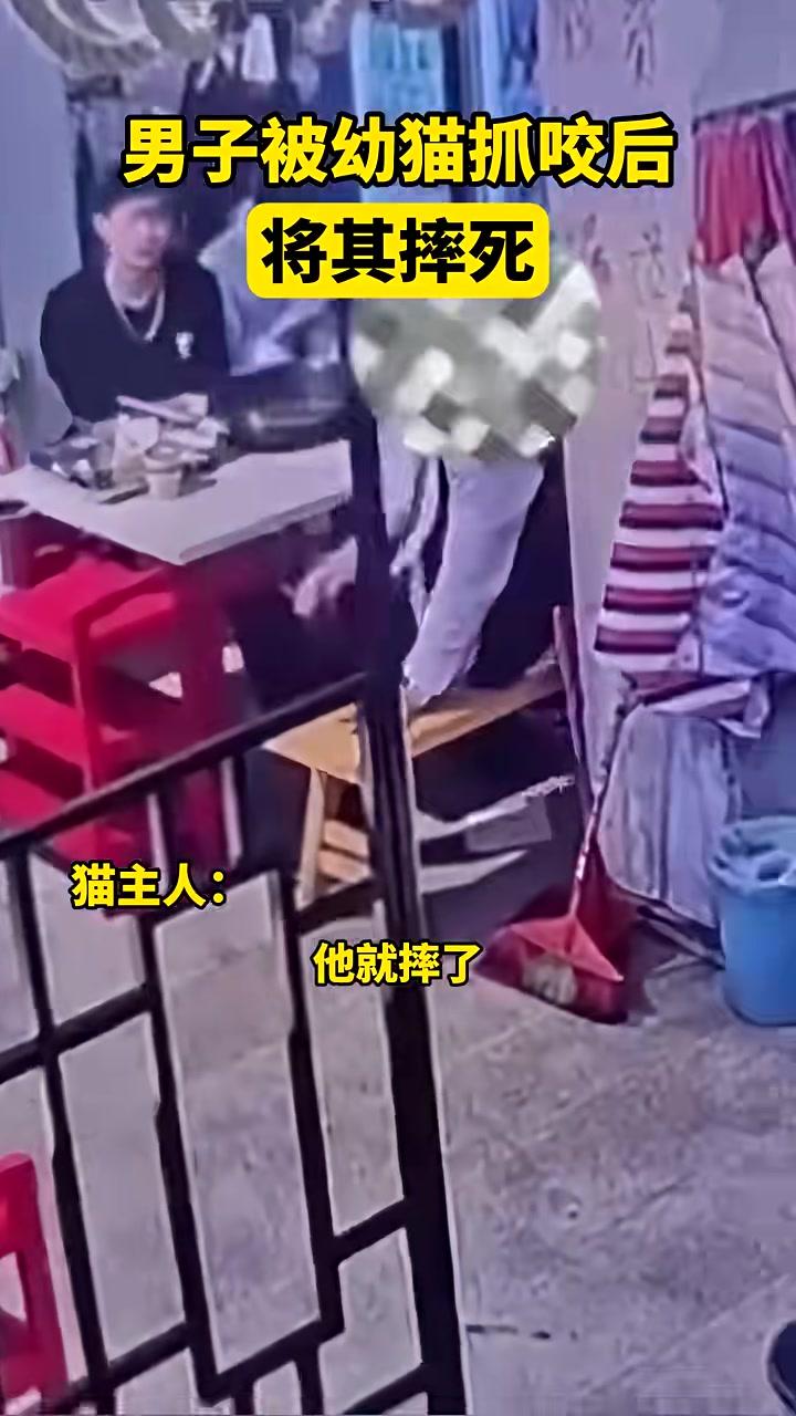 男子被幼猫抓咬后，将其摔死