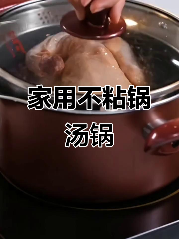 炊大皇汤锅,燃气电磁炉专用,炖煮蒸样样行