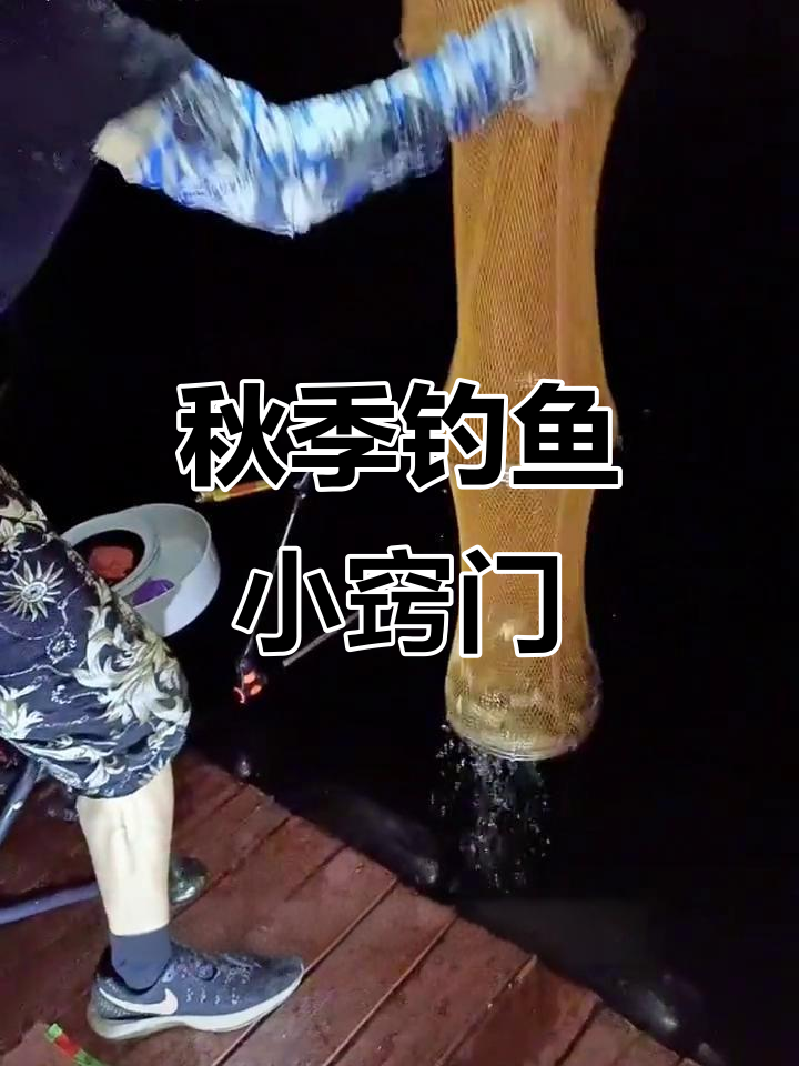 秋季夜钓鲫鱼技巧,选对天气轻松上钩