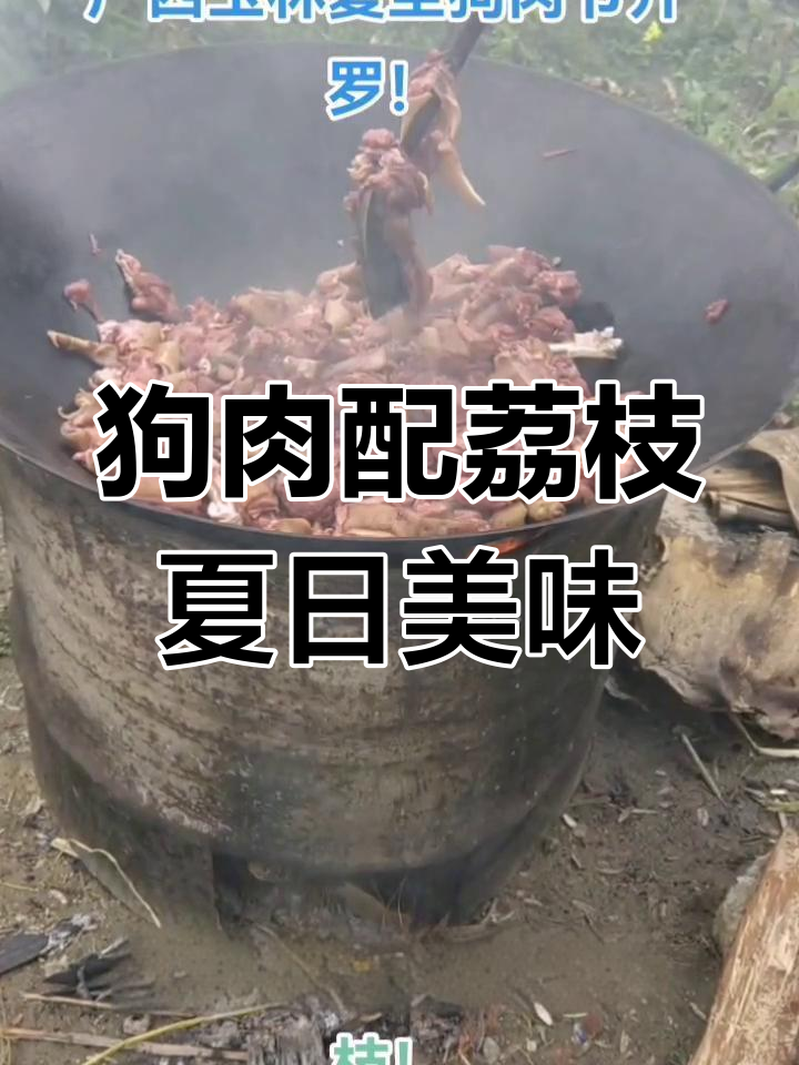 广西玉林夏至狗肉节,千年传统美食与荔枝的完美搭配