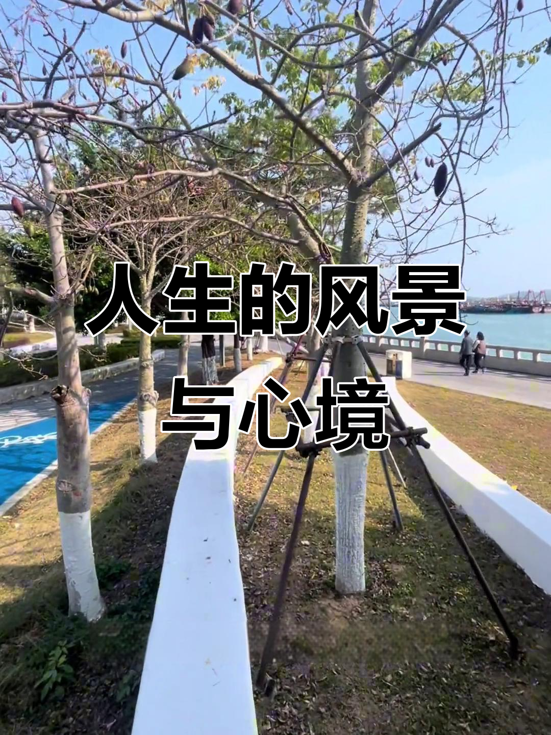 人生如梦,风景治愈心灵:一段深刻的人生感悟
