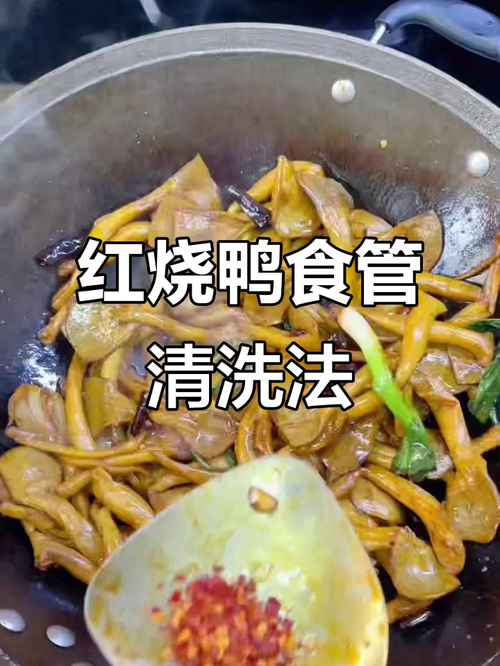 清洗鸭食管的独特技巧,麻辣香红烧做法大揭秘