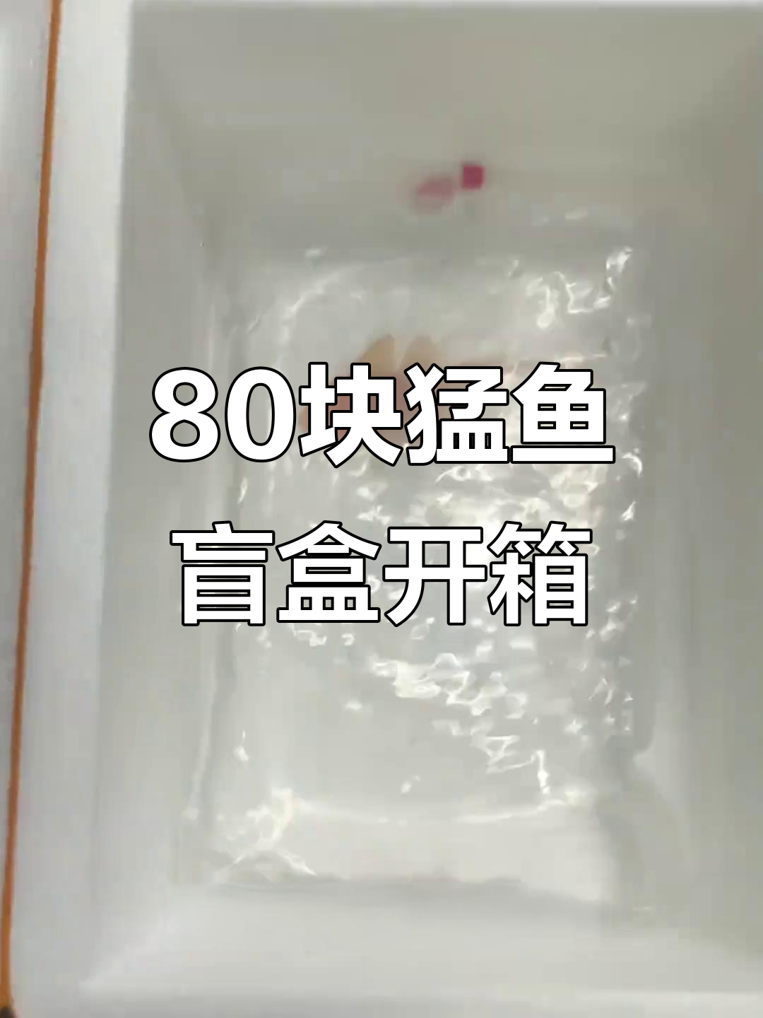 80元猛鱼盲盒开箱,竟然开出这条“火箭”猛鱼!