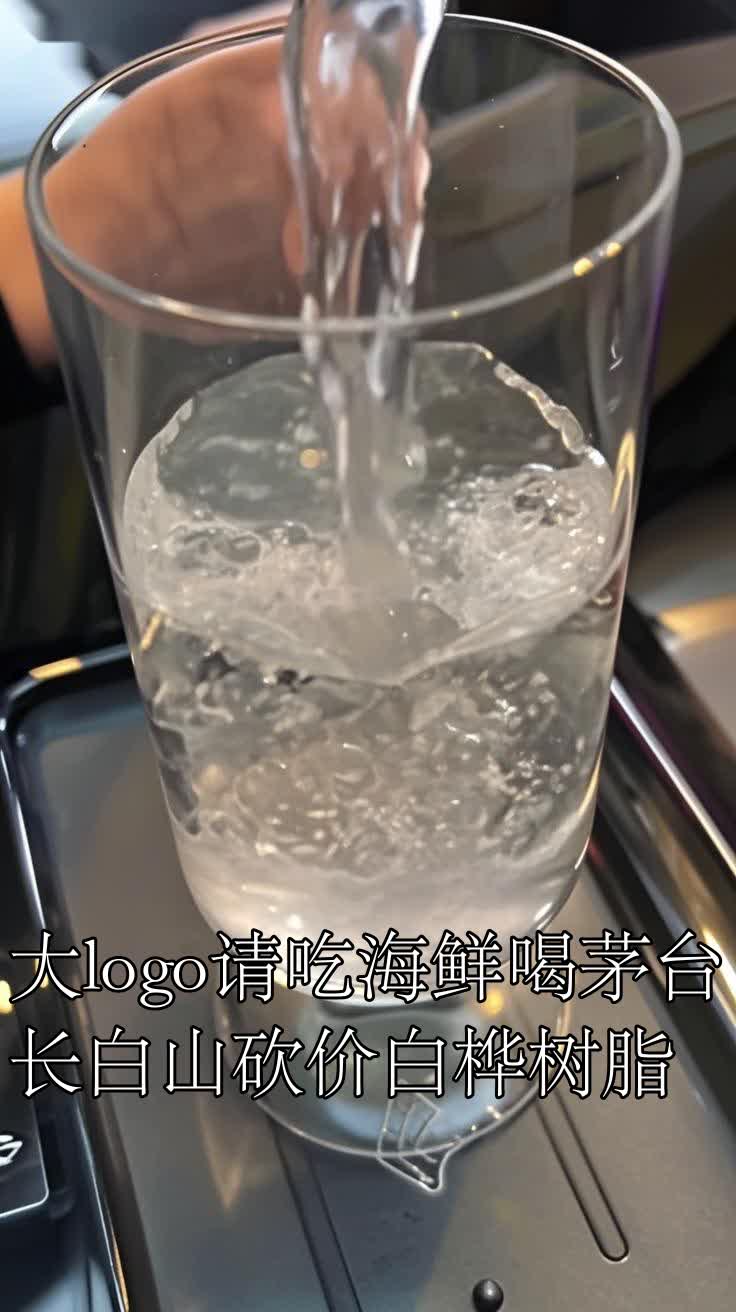 大logo请吃海鲜喝茅台，长白山砍价白桦树脂