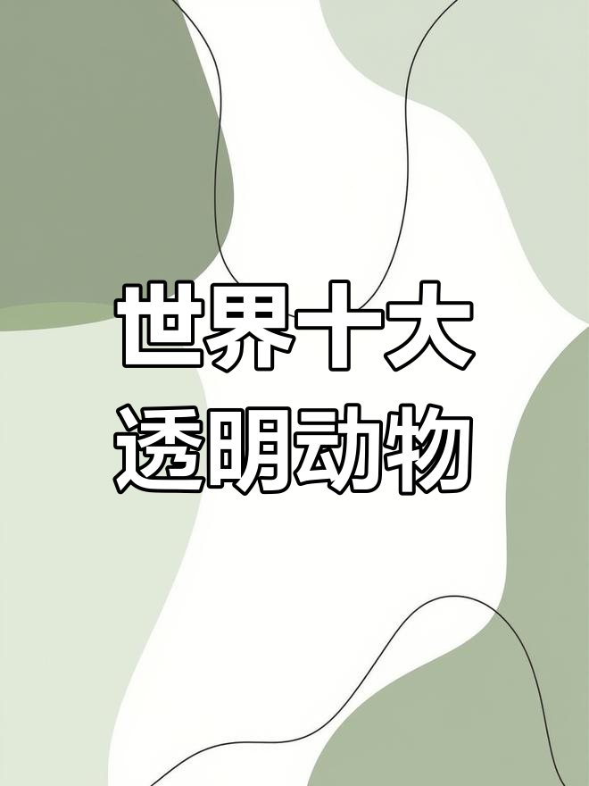 透明生物的奇妙世界:玻璃虾与无色素动物