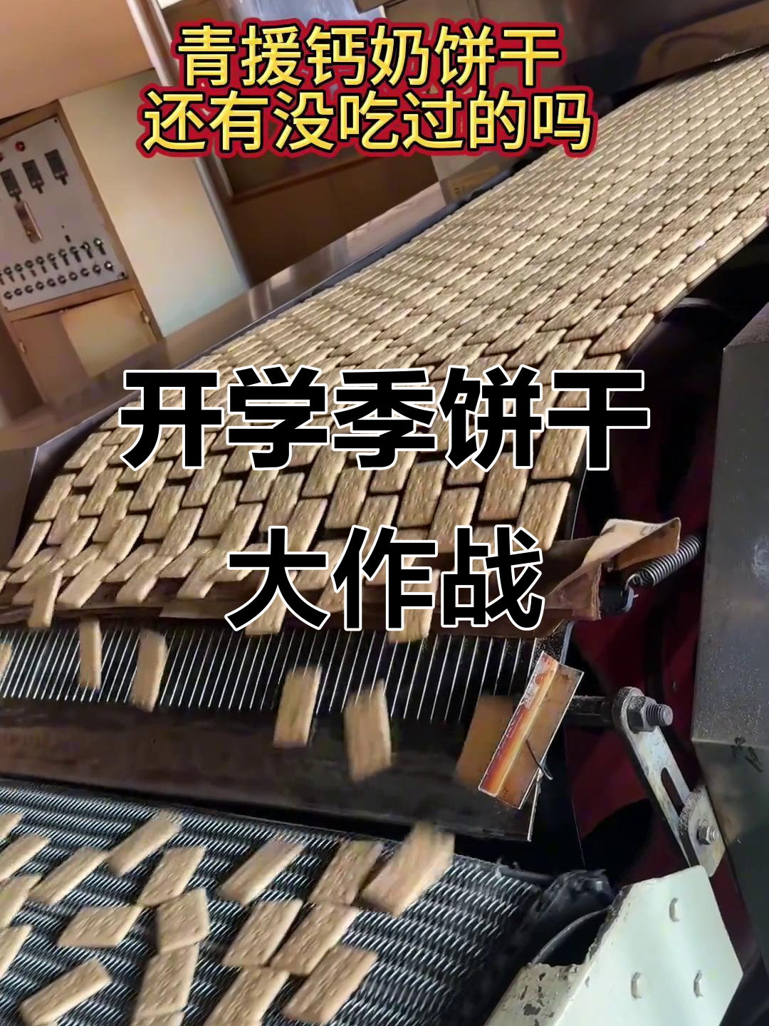 开学季必备!饼干囤货清单,青援带你回忆校园时光