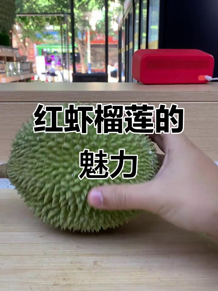 马来西亚麻坡红虾榴莲：独特口感与香气让人难以忘怀