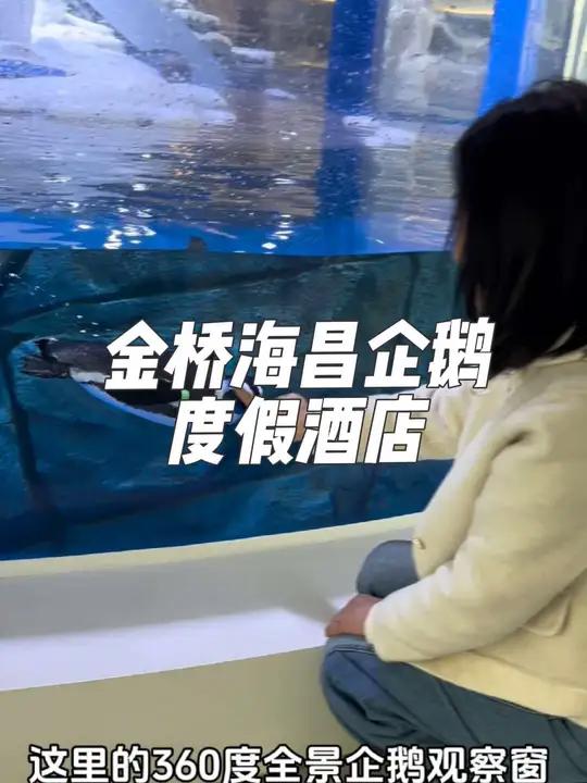 金桥海昌企鹅度假酒店 五一带孩子来金桥海昌企鹅度假酒店吧