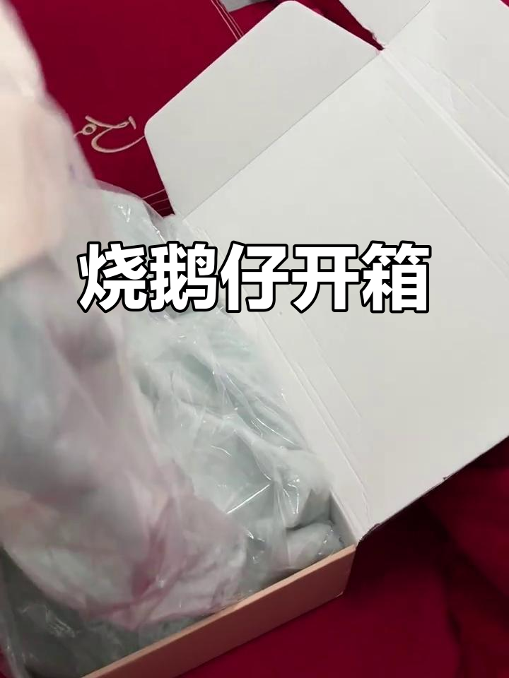 一只烧鹅仔开箱,萌态十足