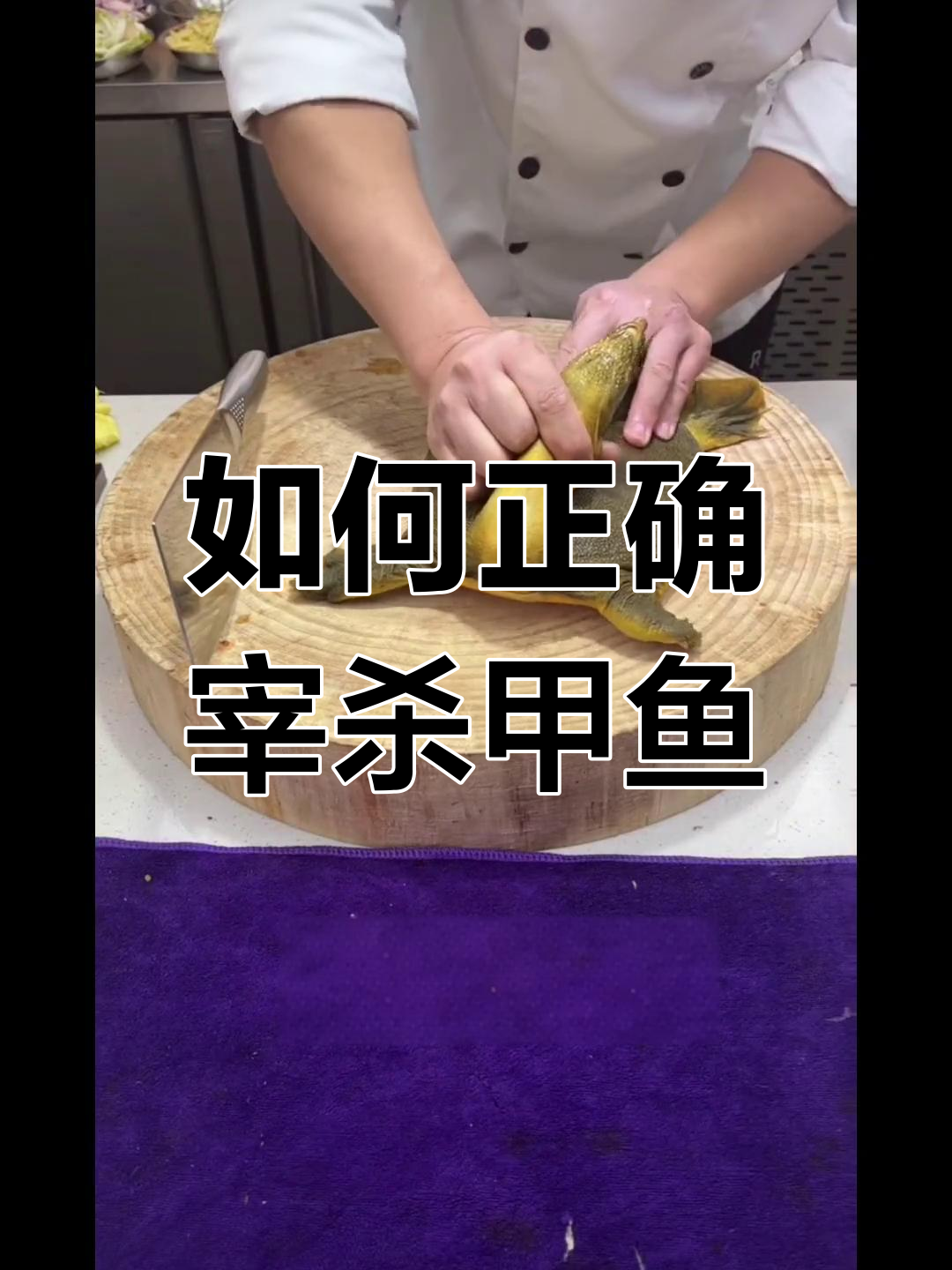 杀甲鱼的正确方法,放血才是关键