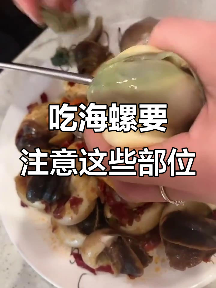 海螺肉怎么吃最安全?教你清理不能吃的部分