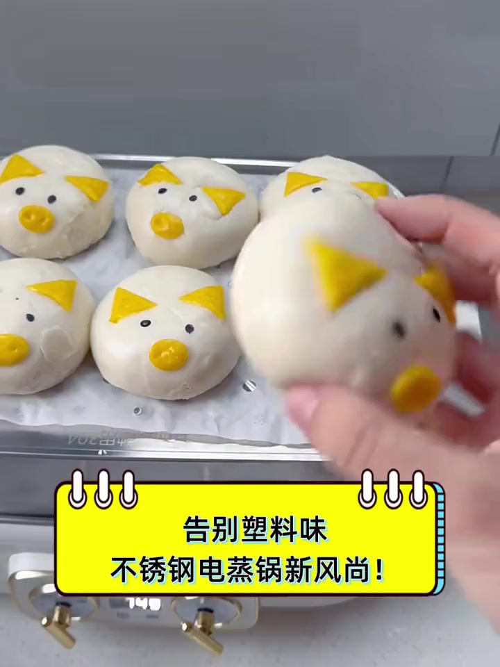 告别塑料味,不锈钢电蒸锅新风尚!