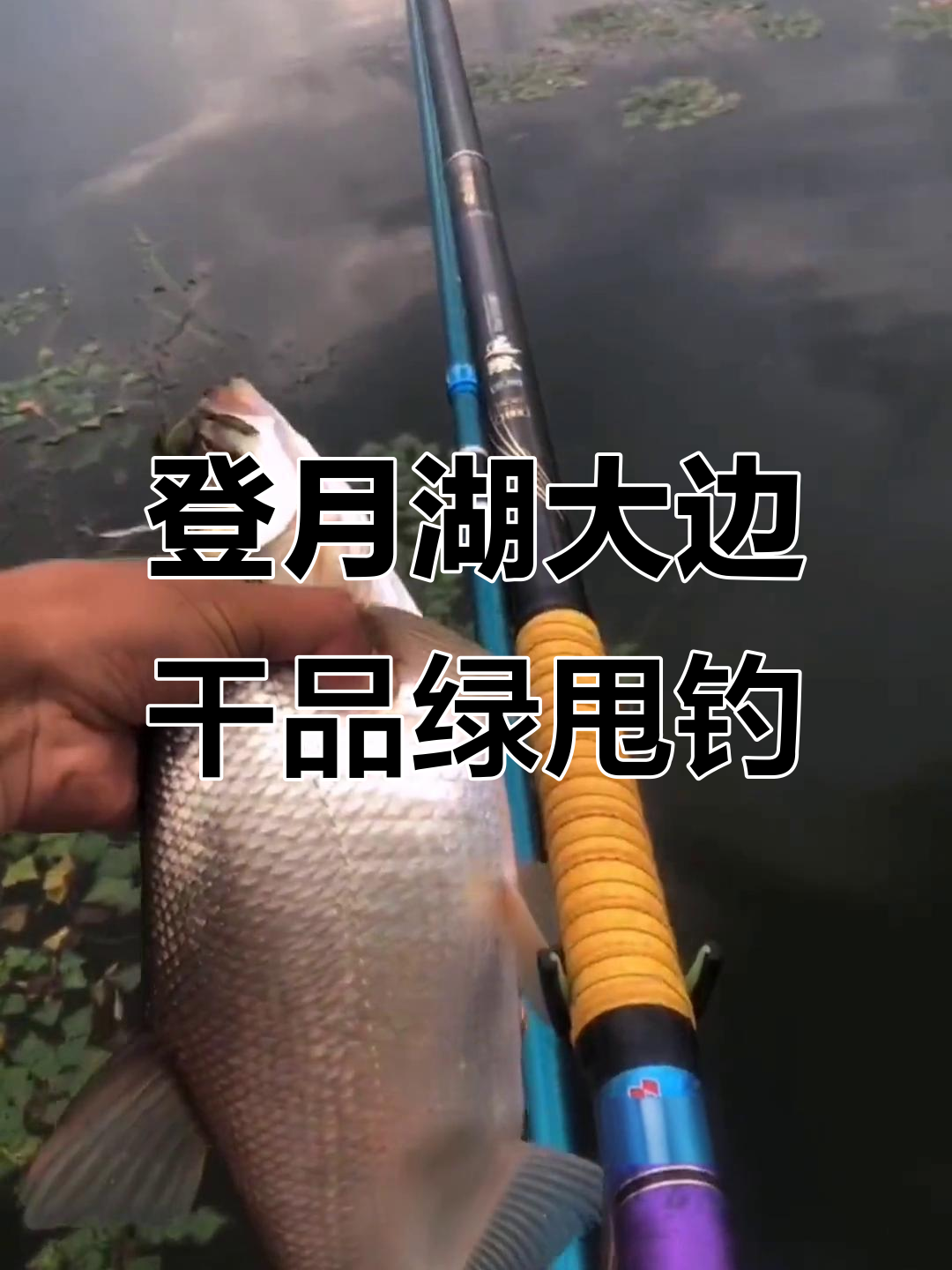 登月湖钓鱼挑战,11米长杆带你体验前所未有的刺激