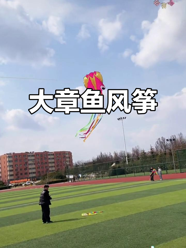 飘逸如仙的大章鱼风筝,放飞瞬间美得让人陶醉