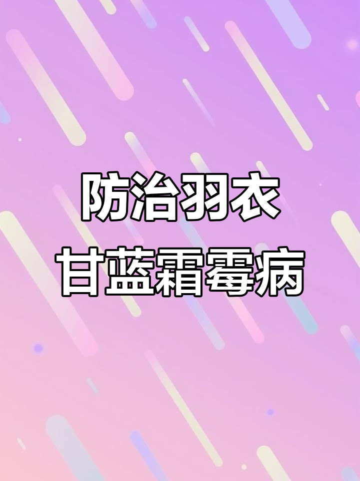 羽衣甘蓝霜霉病防治技巧,轻松搞定!