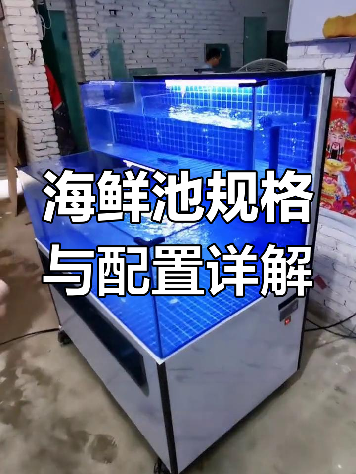 四款海鲜鱼缸配置与功能全解析,定制设计满足不同需求