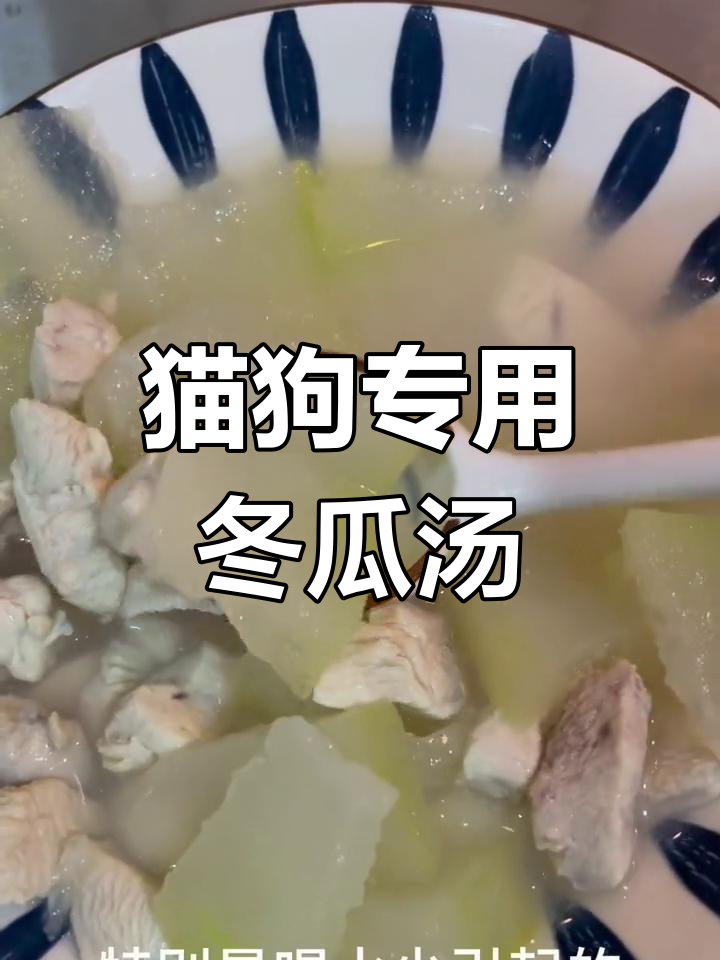 冬瓜鸡肉汤,宠物健康饮品