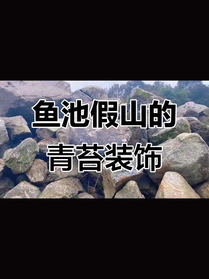 鱼池假山与青苔鹅卵石的完美结合,打造自然景观