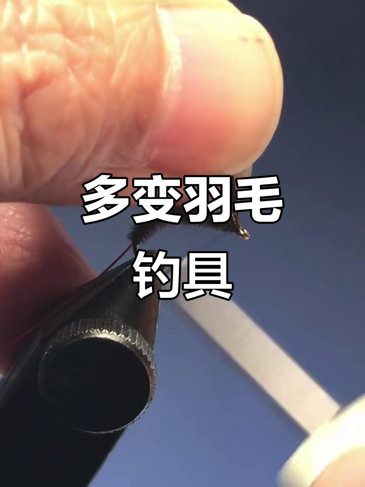 野鸡尾羽毛多变,能绑出千种鱼钩造型,真是钓鱼神器!