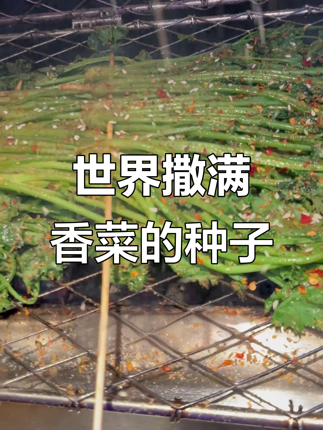 碳烤香菜,让世界充满香气