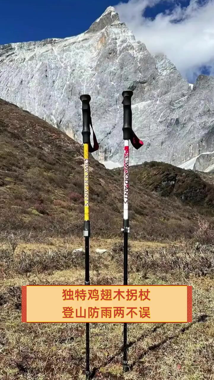 独特鸡翅木拐杖,登山防雨两不误