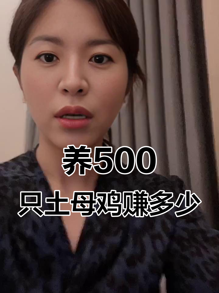 农村养殖500只土母鸡的成本与利润分析