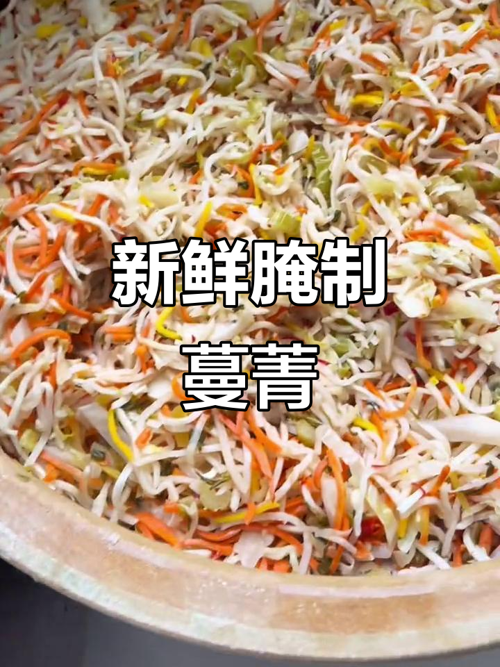 2022年秋季蔓菁腌菜新鲜出炉,粉丝们快来尝一尝!