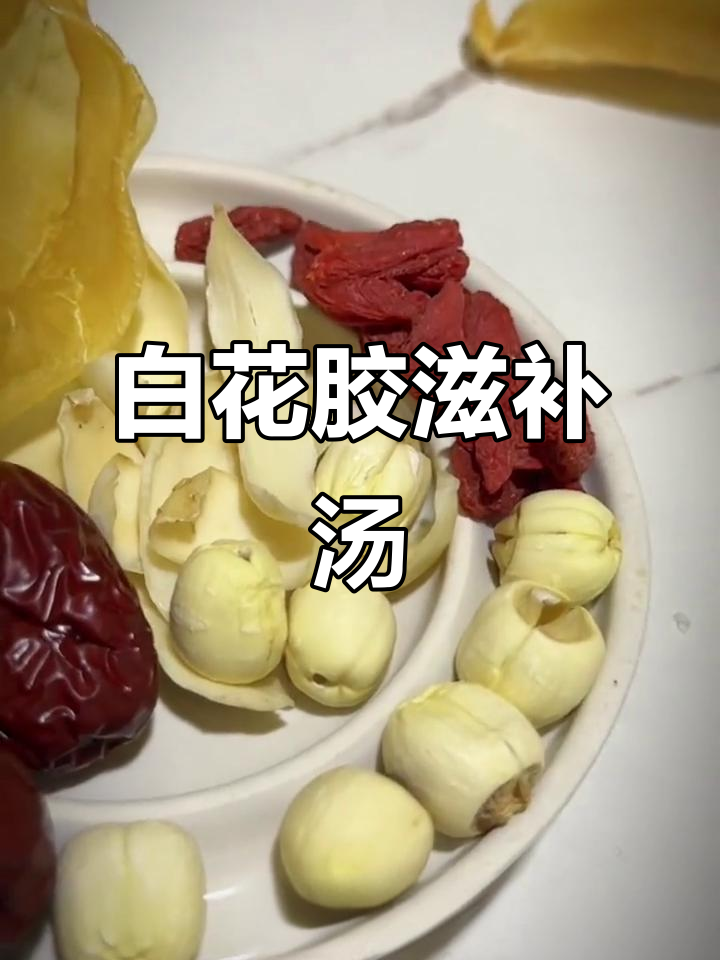 亲手炖制白花胶汤,莲子百合红枣枸杞齐上阵