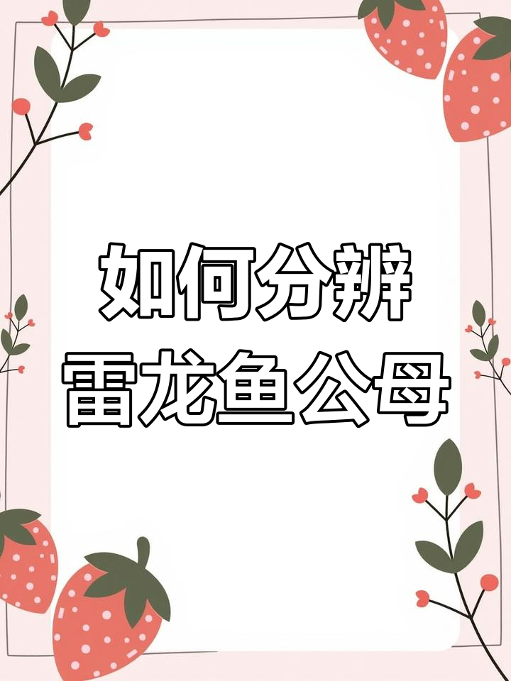 雷龙鱼公母分辨技巧,四种方法教你轻松辨别